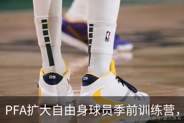 PFA扩大自由身球员季前训练营，设立数字转会市场连接球队和球探